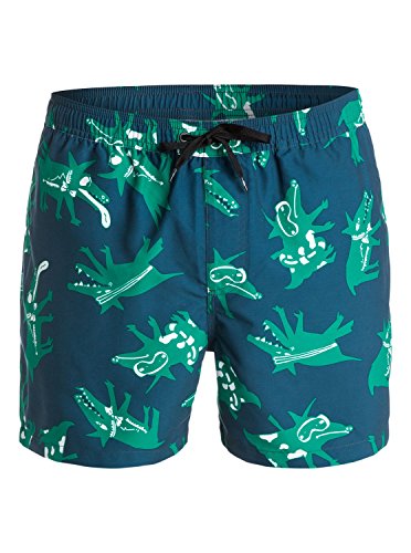 Quiksilver Men's Julien David All Dogs 15