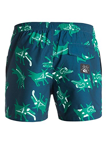 Quiksilver Men's Julien David All Dogs 15