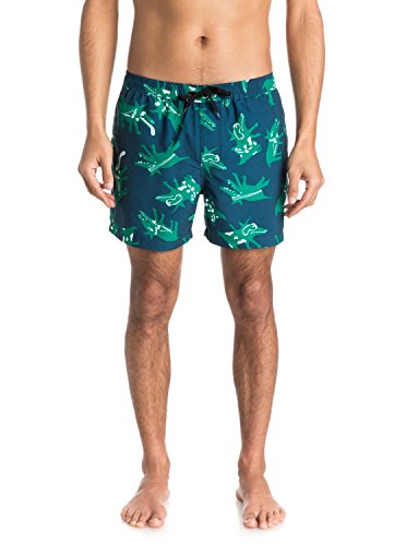 Quiksilver Men's Julien David All Dogs 15