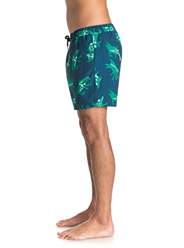 Quiksilver Men's Julien David All Dogs 15