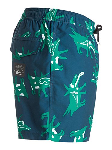 Quiksilver Men's Julien David All Dogs 15
