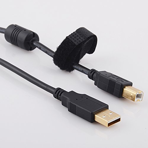 10Ft Long GOLD Plated Hi-Speed USB 2.0 Cable for Hp Deskjet 2510, 2512, 2514, 2540, 2542, 2544, 3512 E-All-in-One Printer by IPAX® Golden in Retail B