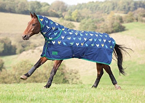 Tempest Chix Combo Blanket, 200 Gram, 600D (78)