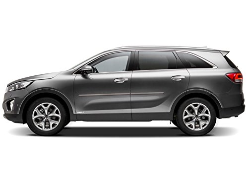 2016-2016 KIA Sorento Custom Painted Body Side Moldings [Color Code:  Remington Red - Serrano Red Metallic TR3]