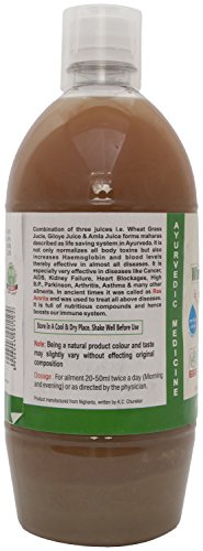 JEEVAN RAS Wheat Grass & Giloye Stem Swaras Herbal Juice (1 Ltr) thumbnail