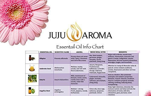 Sweet Orange Essential Oil - 100% Pure, Natural and Therapeutic Grade - 10ml - by JuJu Aroma