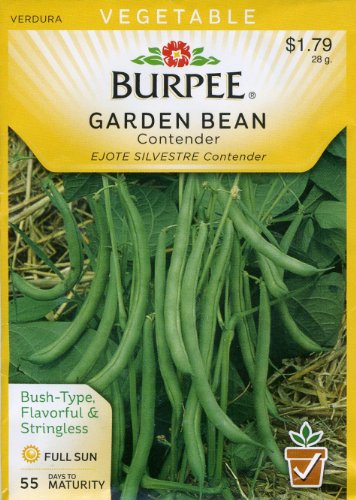 Burpee 68016 Bean, Bush Snap Contender Seed Packet