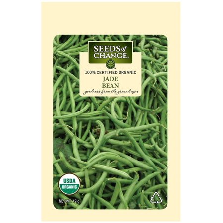 Seeds of Change 06992 Seeds Organic Jade Bush Bean  Green