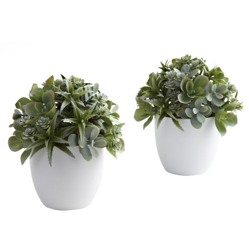 Nearly Natural 4962-S2 Mixed Green Succulent Plant with White Planter, Set of 2