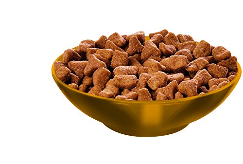 Hill's Science Diet Adult Hairball Control Dry Cat Food, 15.5-Pound Bag thumbnail