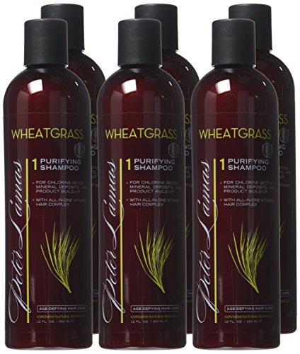 Peter Lamas Wheatgrass Purifying Shampoo, 12 Fl Oz, Salon Pack, 6 Count