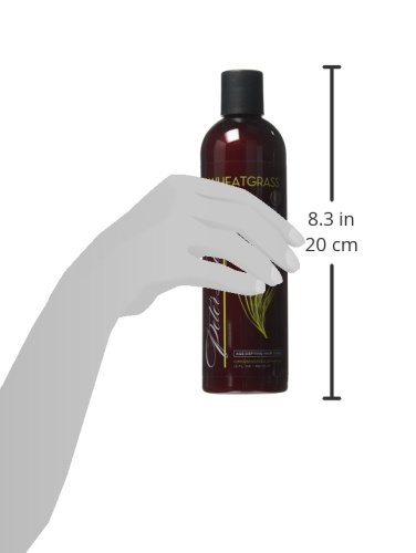 Peter Lamas Wheatgrass Purifying Shampoo, 12 Fl Oz, Salon Pack, 6 Count thumbnail
