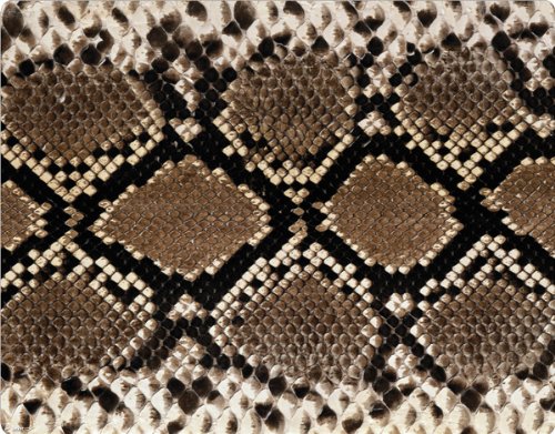 Skinit Protective Skin for Curve 8530 - Serpent thumbnail