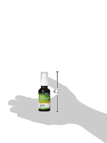 Gaia Herbs Echinacea Goldenseal Propolis Throat Spray, 1 Ounce (Pack of 2) thumbnail