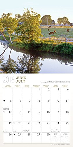 2016 Monthly Wall Calendar - Canadian Farms Square 12X12 Wyman (Bilingual)