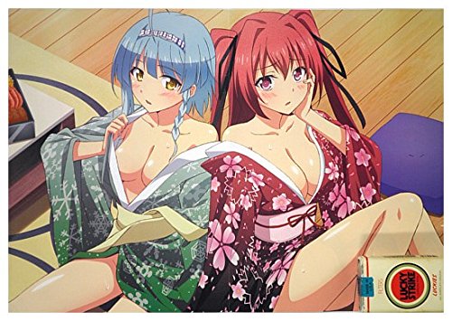 Promo Poster Dog Days'' the Testament of Sister New Devil Millhi Sharu Couvert Mio Yuki A8047