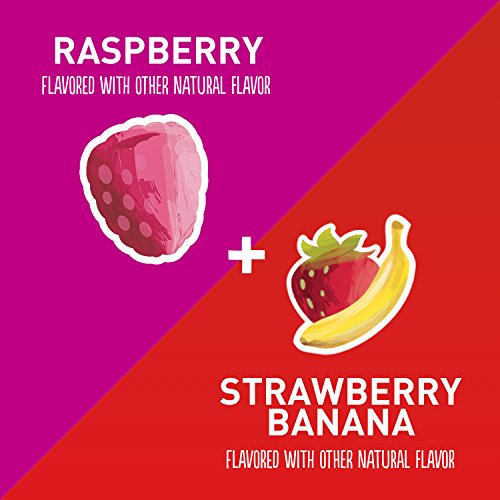 Yoplait Go-Gurt Variety Pack Raspberry/Strawberry Banana 16 Count