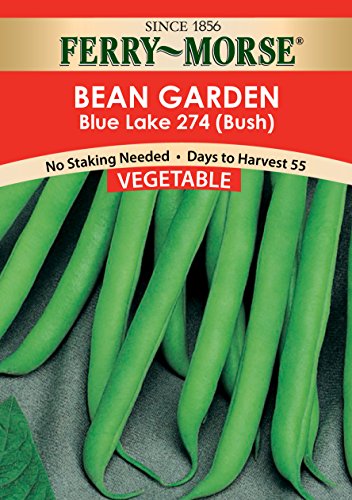 Ferry-Morse Seed Company Bush Blue Lake Bean Economy Packet