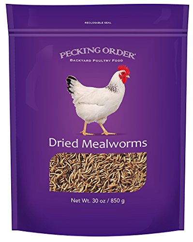 00 Chicken Mealworm Treat, 30 Oz Bag