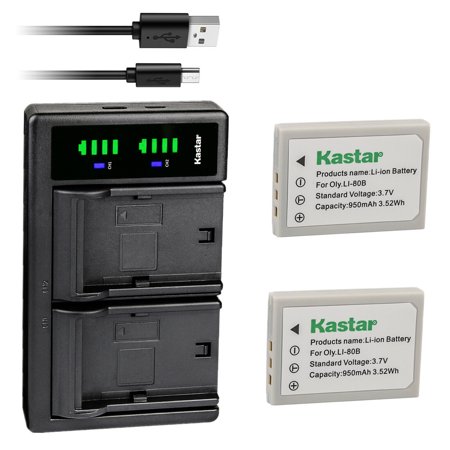 Kastar 2-Pack Battery and LTD2 USB Charger Replacement for PREMIER DM-6331  DM-5331  DS-4330  DS-4331  DS-4341  DS-4346  DS-5080  DS-5330  DS-5341  DS