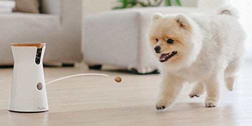 Furbo Dog Camera: Treat Tossing  Full HD Wifi Pet Camera and 2-Way Audio  Designed for Dogs