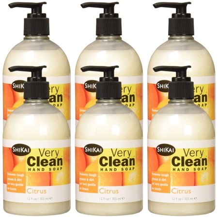 Moisturizing Liquid Hand Soap Soothing Clean  Made with Essential Oils  Cruelty Free Cleanser That Washes Away Dirt Citrus Scent  12 FL OZ Bottle  6 B
