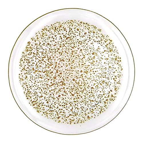 Red Pomegranate Collection 4962-1 11 in. Isla Dinner Plates  Clear & Gold - Set of 4 thumbnail