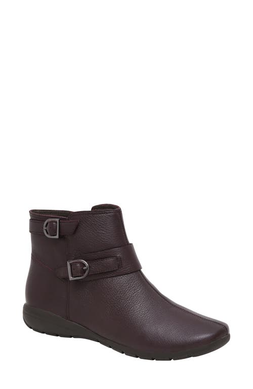 sunlight bell solar lamp