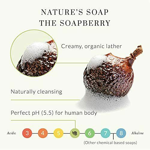 Tree to Tub, Soapberry Gentle Foaming Face Wash Cleanser, Moisturizing, PH Balanced for Dry Sensitive Skin, Unscented, 4 Fl Oz (120 Ml) thumbnail