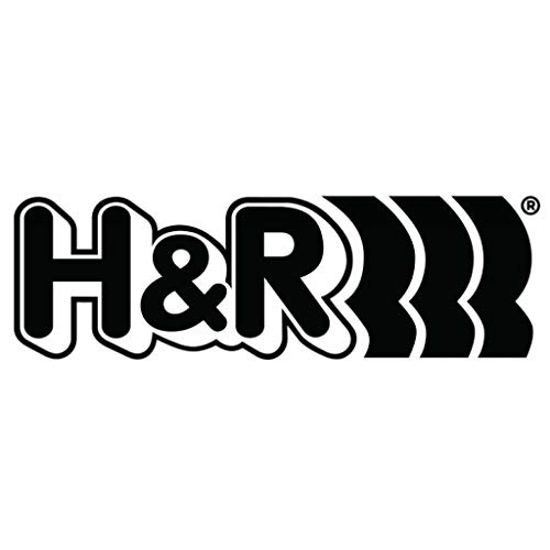H/R Springs 51848-55 thumbnail