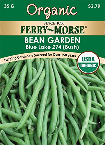 Ferry-Morse 3162 Organic Bean Seeds, Bush Blue Lake 274 (28 Gram Packet)