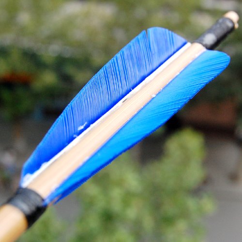 Buffalo Blue Turkey Feathers for 6 Pcs Hunting Arrows Archery with a-803E Broadhead Wooden Shaft