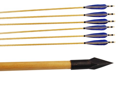 Buffalo Blue Turkey Feathers for 6 Pcs Hunting Arrows Archery with a-803E Broadhead Wooden Shaft thumbnail
