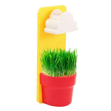 Buodes Butterfly Party Decorations Office Mini Desktop Flower Pot Wall-Hung Rain Cloud Watering Pot