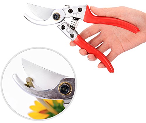 Pruning Shears - Best Pruning Tools,Pruning Snip,Tree Trimmer, Garden Shears-Best Price Scissors Hand Pruner for Tree,Rose,Bonsai and Bush Trimmers!