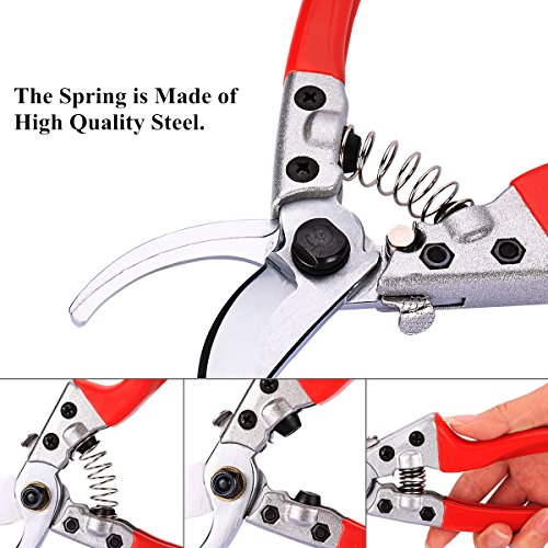 Pruning Shears - Best Pruning Tools,Pruning Snip,Tree Trimmer, Garden Shears-Best Price Scissors Hand Pruner for Tree,Rose,Bonsai and Bush Trimmers! thumbnail