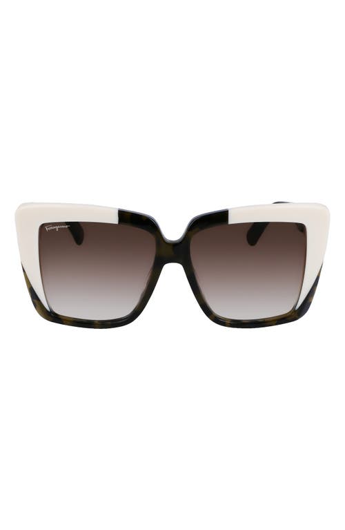 Ferragamo Acetate Women's Sunglasses
