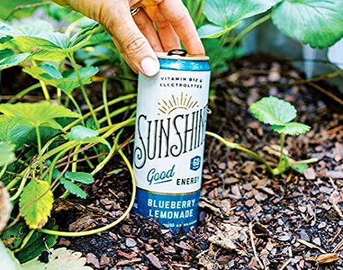 Sunshine Beverages Sparkling Energy Drink Blueberry Lemonade 4 Cans thumbnail