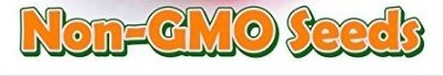 Bean Lima Early Thorogreen Bush DN126 (Green) 50 Heirloom Seeds by David's Garden Seeds thumbnail