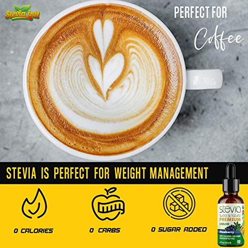 Blueberry Premium Quality Stevia Drops | Organic Liquid Stevia | Best Sugar Substitute | 100% Pure Extract | All Naturally Sweet | Non-Bitter, 0 Calor thumbnail