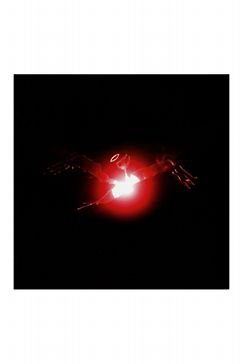 I'll Sleep When You're Dead [Vinyl]