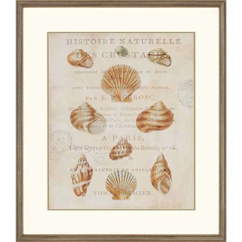 Paragon Shell Collection II