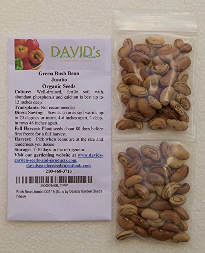 Bush Bean Jumbo D011k (Green) 100 Organic Seeds by David's Garden Seeds thumbnail