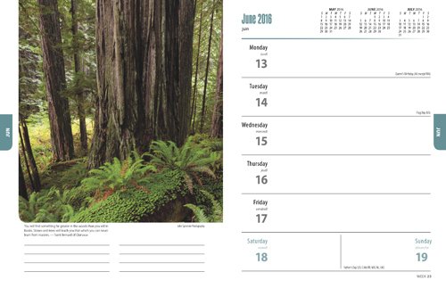 Solitudes 2016 Engagement Wyman thumbnail