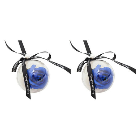 Usupdd New Fashion 2Pcs Rose Plastic Ball Pendant Soap Flower Decoration Valentine S Day Gift - 2022 New Toys 2Pcs Rose Plastic a-a#9318