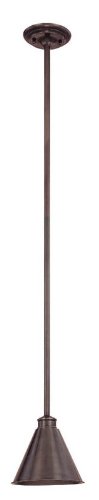 Hudson Valley Lighting 4722-OB 1-Light Pendant, Old Bronze Finish