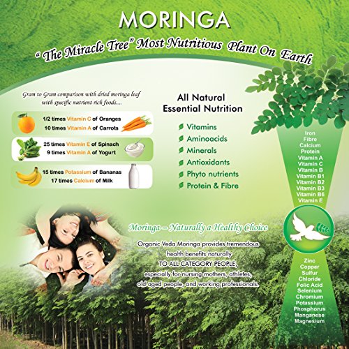 Organic Moringa Seed Powder (16 Ounce - 1 Lb). 100% Pure and Natural Raw Herb Super Food Supplement. Non GMO, Gluten FREE. ? USDA Certified Organic ? thumbnail