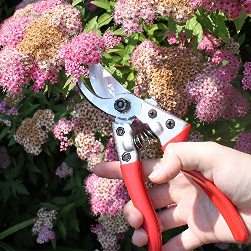 Pruning Shears - Best Pruning Tools,Pruning Snip,Tree Trimmer, Garden Shears, Hand Pruner-Included Protective Leather Case- Top Choice Bush, Shrub &am thumbnail