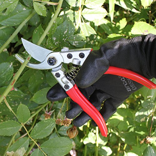 Pruning Shears - Best Pruning Tools,Pruning Snip,Tree Trimmer, Garden Shears, Hand Pruner-Included Protective Leather Case- Top Choice Bush, Shrub &am thumbnail