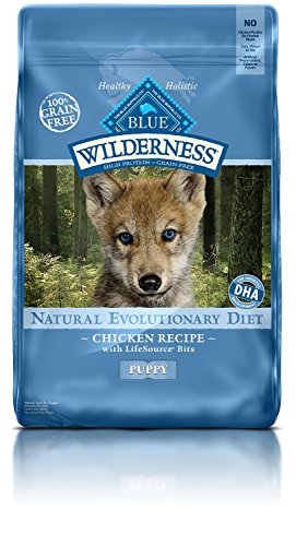 Blue Buffalo Wilderness High Protein  Natural Puppy Dry Dog Food  Chicken 11-lb thumbnail